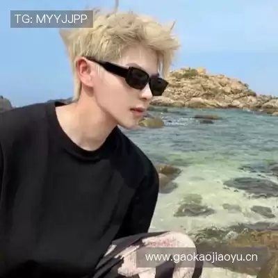 赵苏静